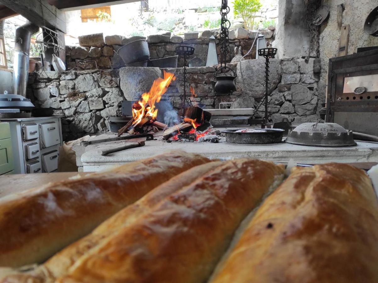 Toncevi Eco Estate Ξενοδοχείο Branik Εξωτερικό φωτογραφία